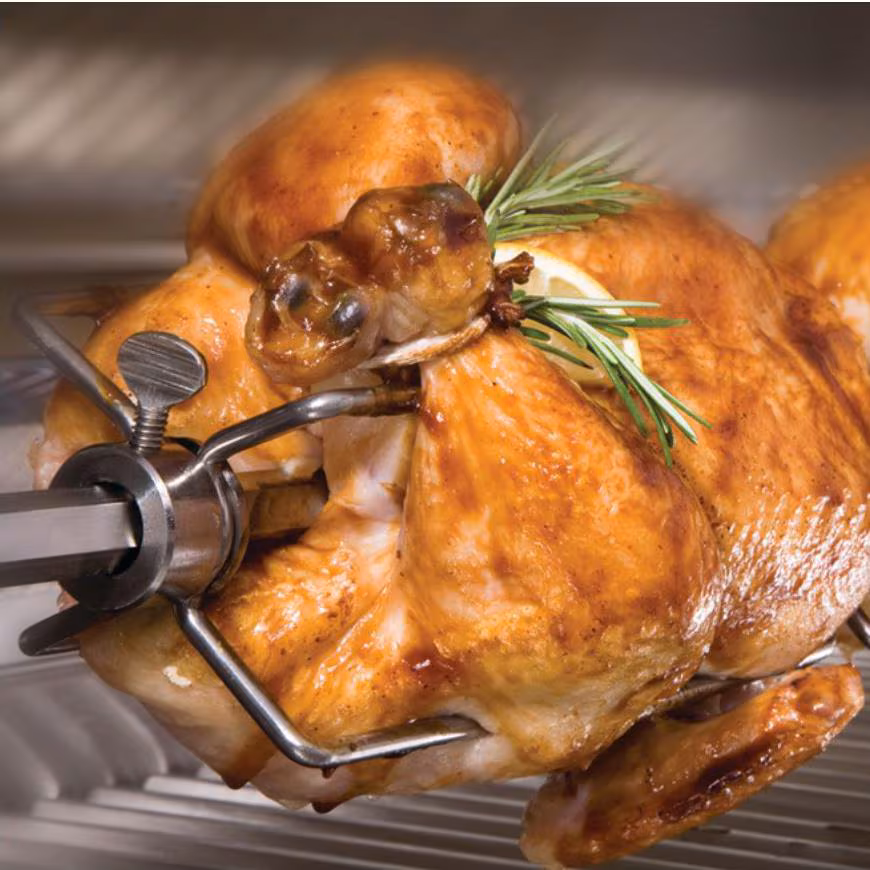 Delta Heat Grill w/ Infrared Rotisserie